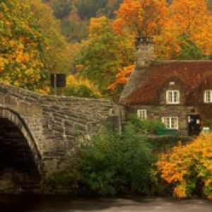 Paisaje de Otoño con Puente