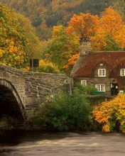 Paisaje de Otoño con Puente