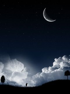 Cielo Nocturno con Luna