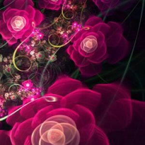 Flores Fractales Rosadas