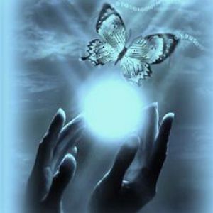 Mariposa y Manos