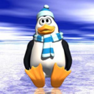 Pingüino Bonito en Invierno