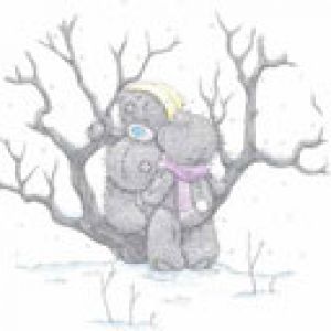 Osos de invierno adorables