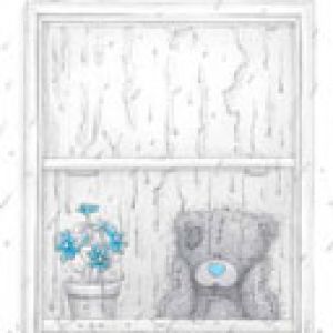 Teddy Bear Lindando en la Ventana