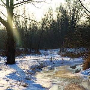 Arroyo Invernal en la Naturaleza
