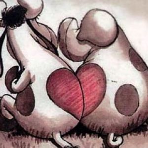 Vacas Lindas Enamoradas