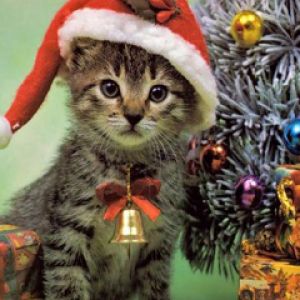 Gatito Navideño Adorable