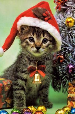 Gato Navideño Adorable