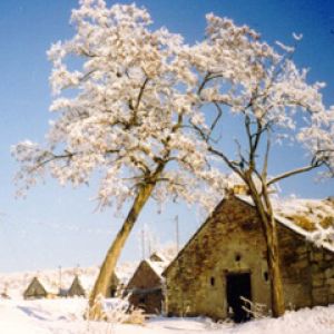 Paisaje invernal nevado