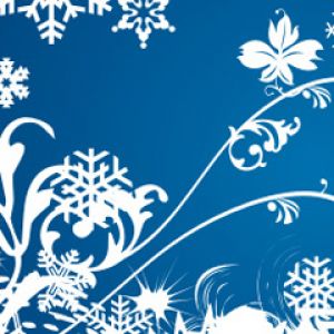 Copos de Nieve de Invierno y Diseño Floral
