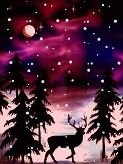 Noche Invernal con Ciervo