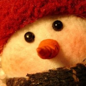 Muñeco de Nieve Adorable