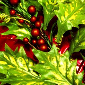 Hojas y Berries de Acebo Navideño