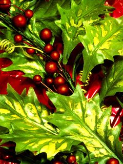 Hojas y Berries de Acebo Navideño