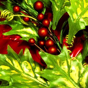 Holly y Berries de Navidad