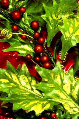 Holly y Berries de Navidad