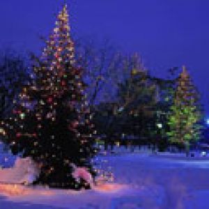 Árbol de Navidad en un paisaje invernal