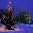 Árbol de Navidad en un paisaje invernal