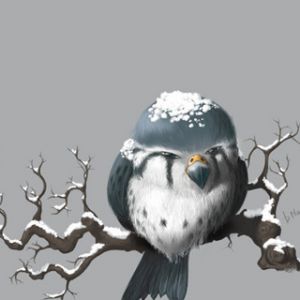 Pájaro Nevado en una Rama