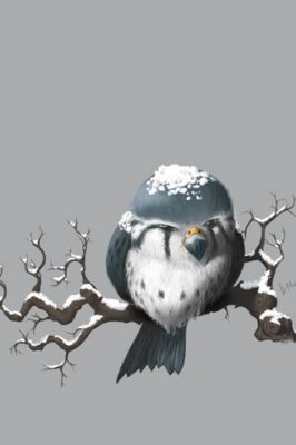 Pájaro Nevado en una Rama