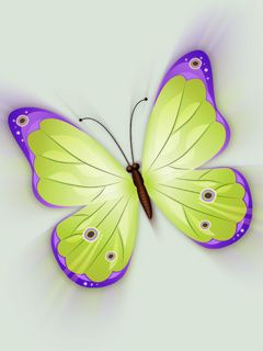 Ilustración de Mariposa Colorida