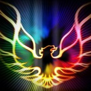 Diseño Abstracto Colorido de Fénix