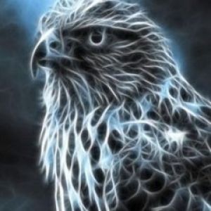 Águila Eléctrica