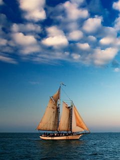 Barco de Vela en Aguas Tranquilas