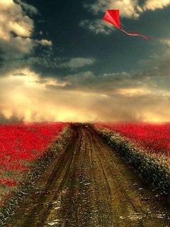 Campo de Flores Rojas con Cometa