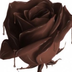 Rosa de Chocolate