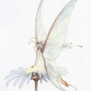 Hada Fantástico en Flor