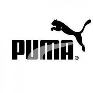 Diseño del Logo de Puma