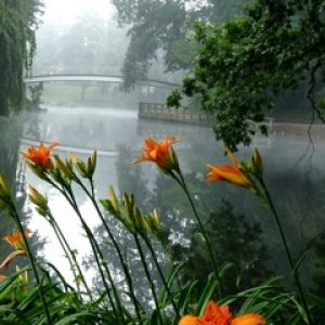 Río Brumoso con Flores