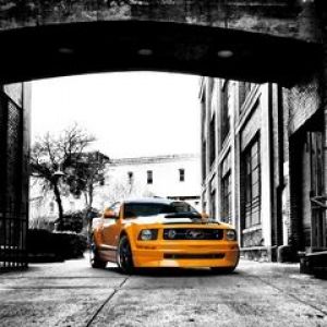 Mustang Naranja Vibrante