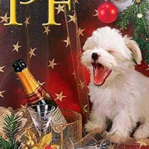 Cachorro Adorable en Navidad