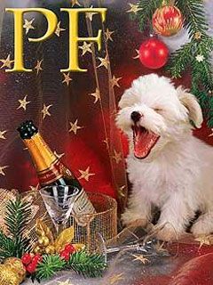 Cachorro Adorable en Navidad