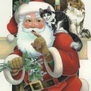 Santa Claus con gatos