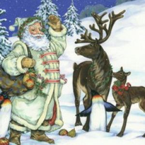 Santa Claus con Renos y Pingüinos