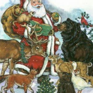 Santa Claus con Animales