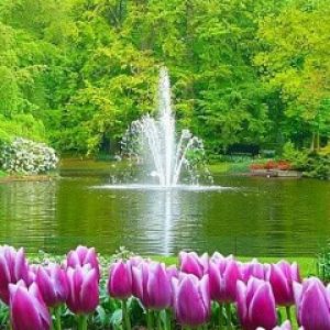 Hermosa Fuente de Jardín