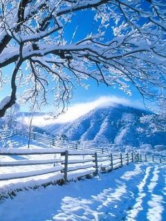 Paisaje Invernal