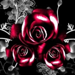 Rosas Rojas Elegantes