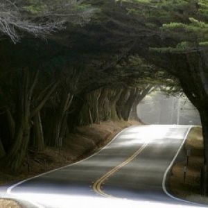 Camino Curvado Escénico