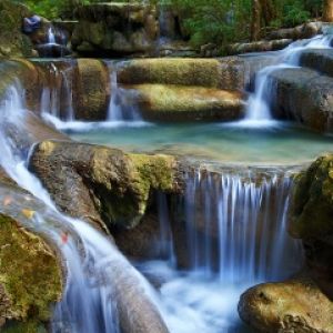 Cascada Serena en Bosque Verdejante