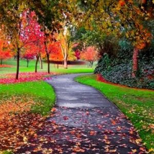 Sendero de Otoño en la Naturaleza