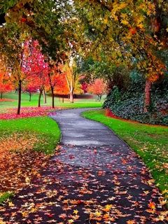 Sendero de Otoño en la Naturaleza