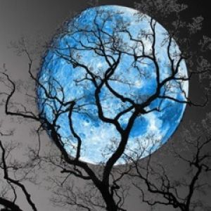 Luna Azul y Árboles Silueteados