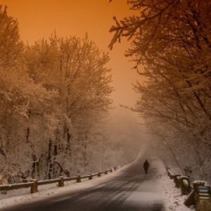 Paisaje Invernal