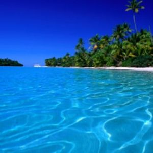 Paraíso Tropical