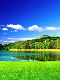 Paisaje de Lago Sereno